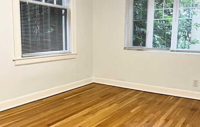 Studio, 1 bath, 467 sqft, $1,025, Unit 209