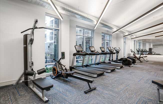 a row of treadmills and other exercise equipment in a gym with large windows