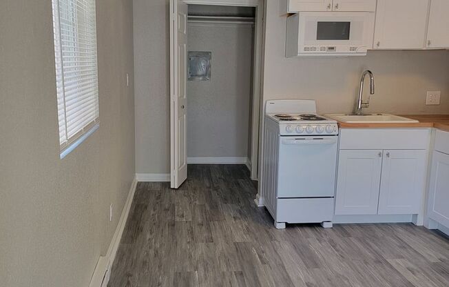 Studio, 1 bath, 300 sqft, $1,150, Unit 1120