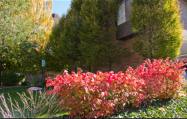 2 beds, 1 bath, 700 sqft, $1,325, Unit 08