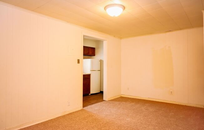 Studio, 1 bath, $400, Unit 2