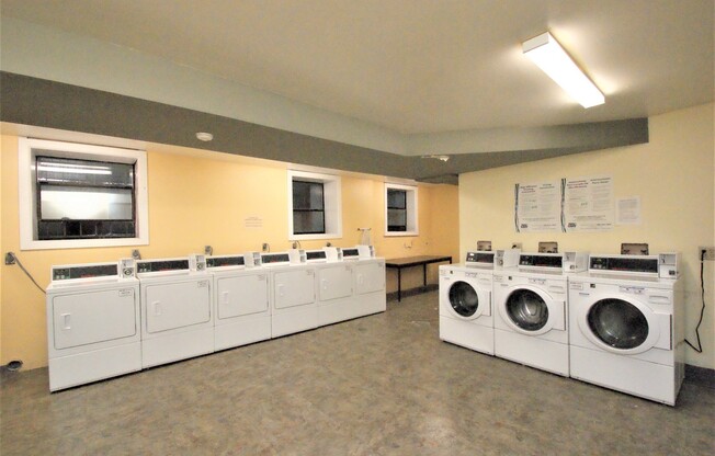 Studio, 1 bath, 405 sqft, $1,295, Unit 205