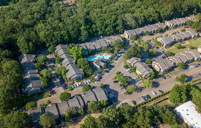 Pear Orchard Aerial