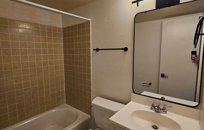 Studio, 1 bath, 320 sqft, $995, Unit 1