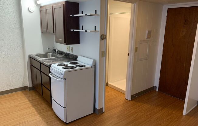1 bed, 1 bath, 450 sqft, $1,195, Unit 303