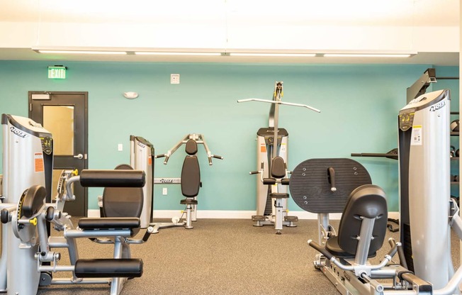 Fitness equipment in the gym