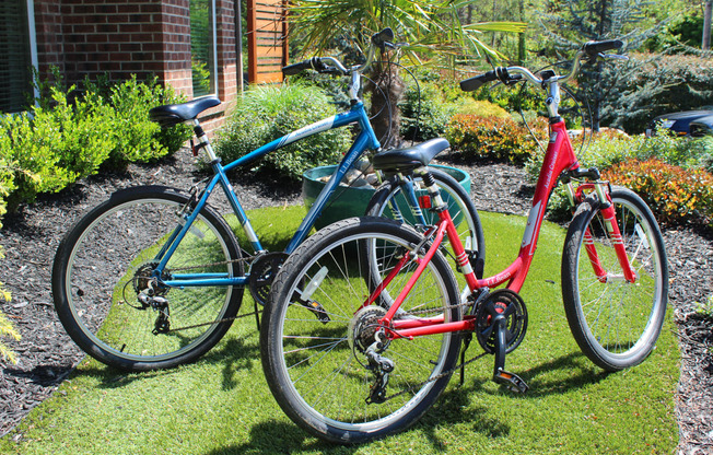 bicycles