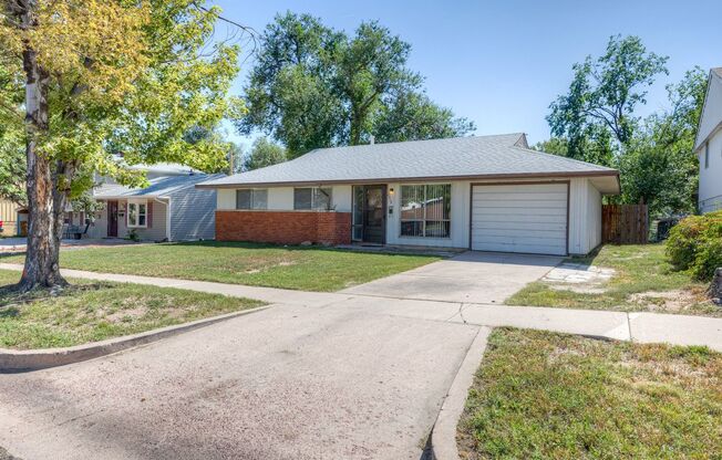 Newly Remodeled 3 Bedroom Home in Central Location