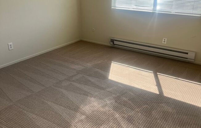 1 bed, 1 bath, $2,350