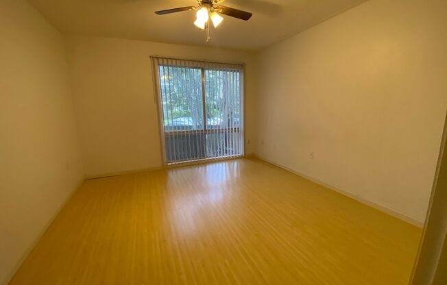 1 bed, 1 bath, $995, Unit APARTMENT P28