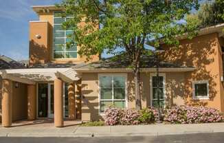 Montevista Apartments