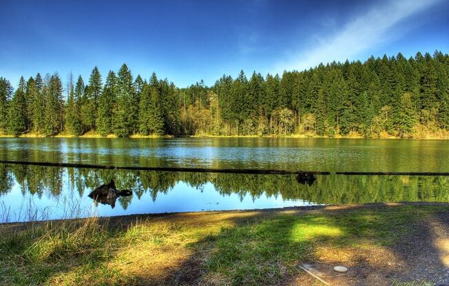 A small lake with trees in the background in neighborhood at Thrive at Green Mountain, Camas, WA, 98607