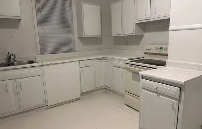 Newly renovated south side 3 BR/2BA located near downtown!