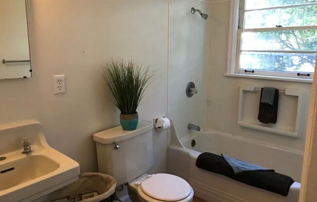 Studio, 1 bath, 456 sqft, $1,150