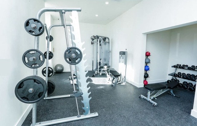 The Seaboard Building in Portsmouth VA weight room