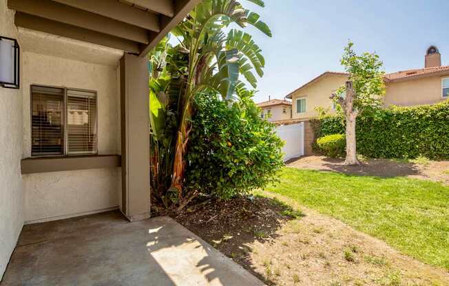 A fenced backyard with a green lawn and patio.