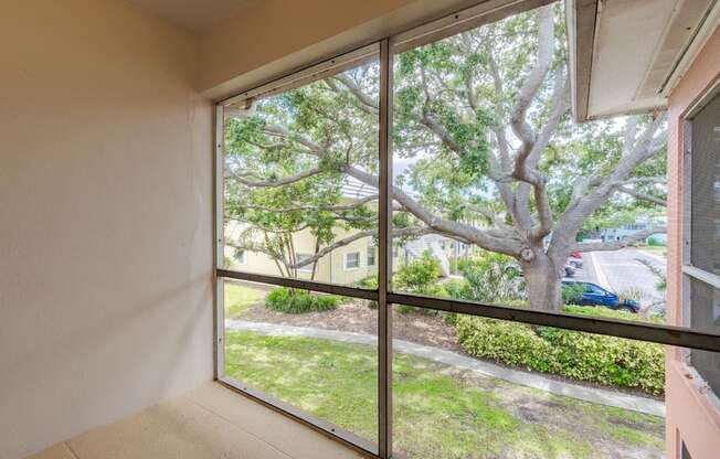 A view of a tree through a sliding glass door.