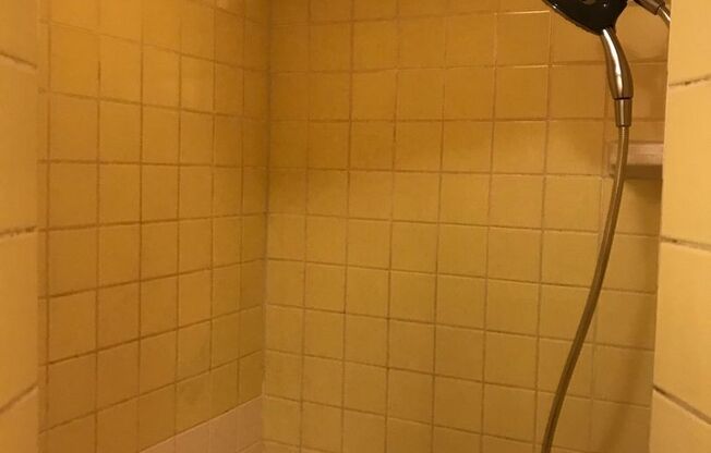 Studio, 1 bath, 280 sqft, $935, Unit 313