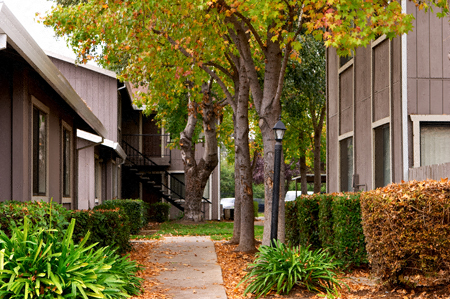 Courtyard Cottages