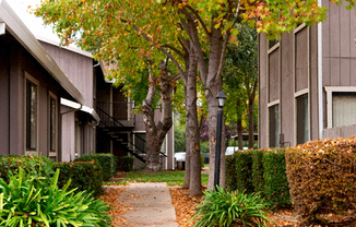 Courtyard Cottages