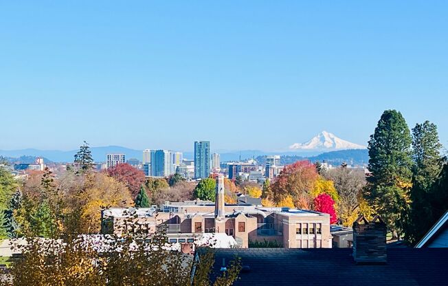 #230-Mountain View Village
