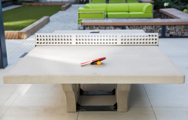 Concrete ping pong table outside