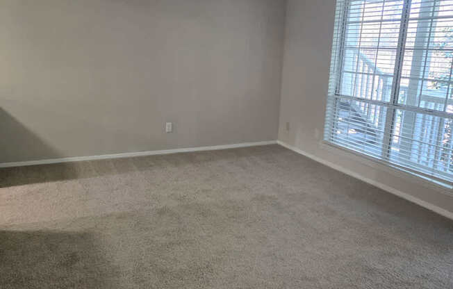 A room with a carpeted floor and a window with blinds.
