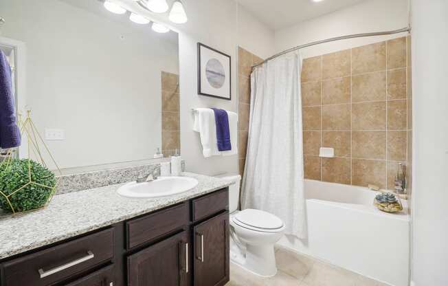 a bathroom with a sink and a toilet and a shower