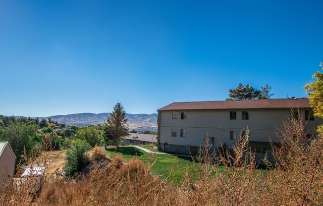 The Grove Apartments