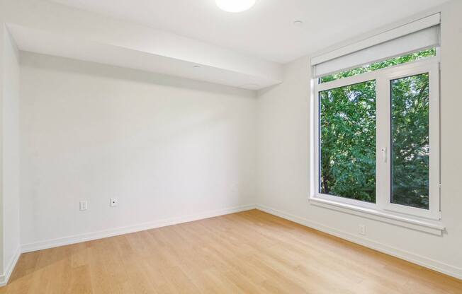 Bedroom with oversized windows and wooden floor at Park77 Apartments, Massachusetts