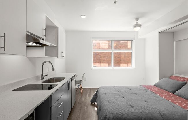 Studio, 1 bath, 252 sqft, $1,125