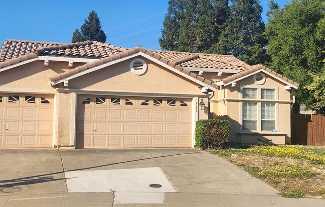 4 Bedroom Home in Elk Grove