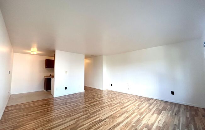 Studio, 1 bath, 464 sqft, $1,395, Unit 204