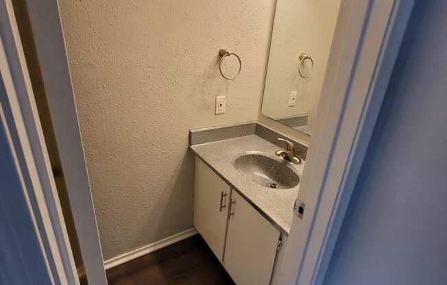 a bathroom with a sink and a mirror