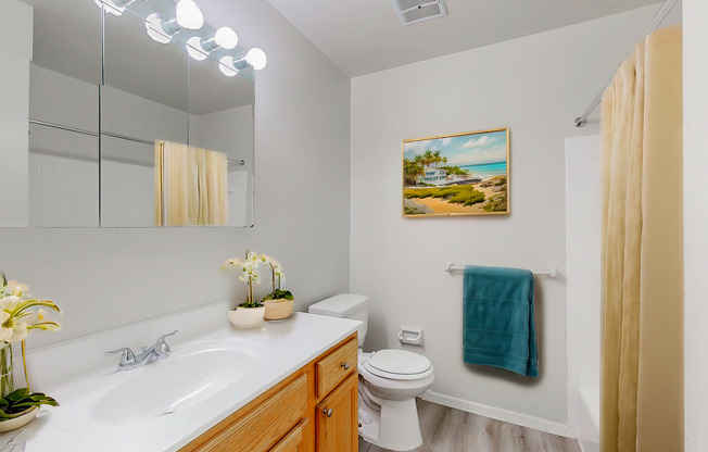 2 beds, 1 bath, 857 sqft, $1,770, Unit 8116-303