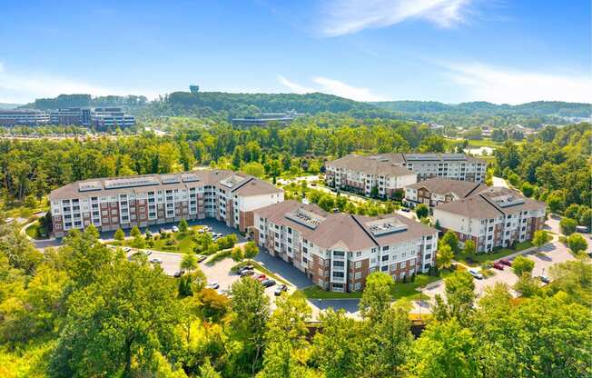 Bird's-eye View - Community