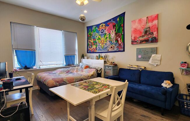 Studio, 1 bath, $1,250, Unit 112