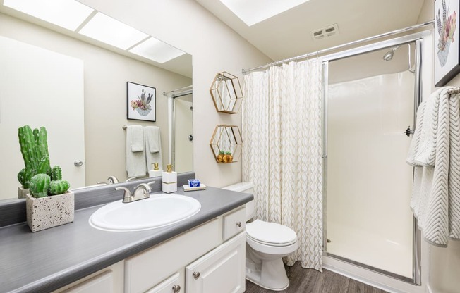 our apartments offer a bathroom with a shower