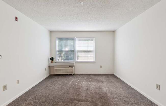 A room with a window and a small table with a plant on it.