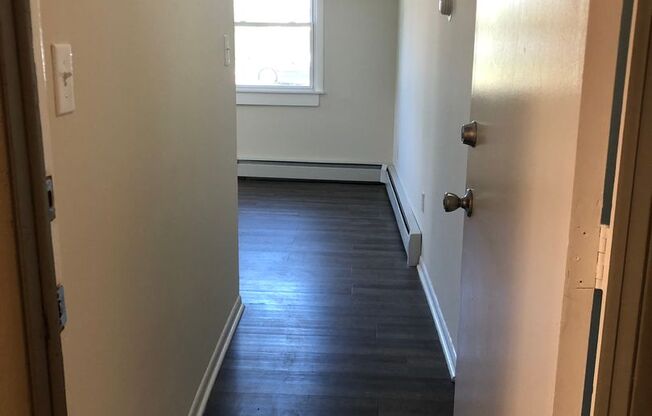 1 bed, 1 bath, $1,295, Unit Apt 1