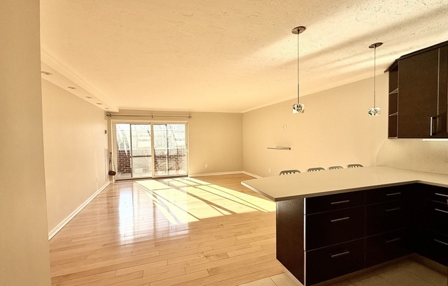 1 bed, 1 bath, 785 sqft, $3,500, Unit 506