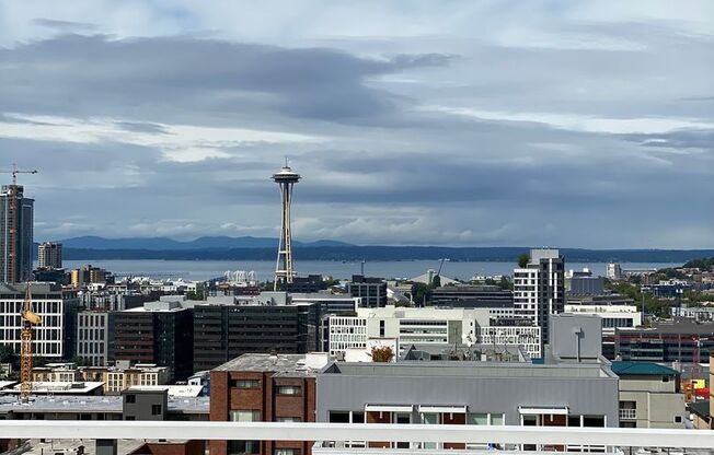 Studio, 1 bath, 407 sqft, $1,495, Unit 508