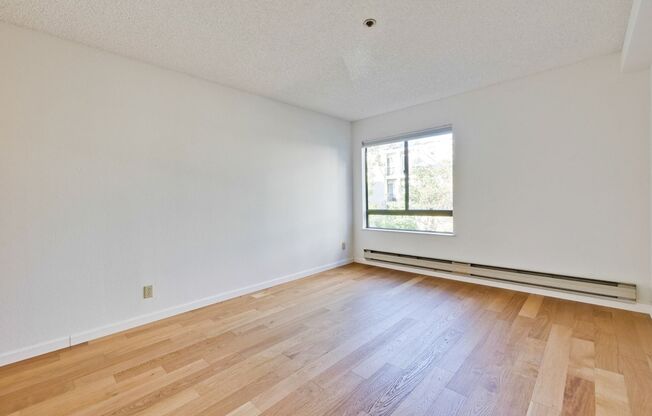 1 bed, 1 bath, $3,250, Unit #221