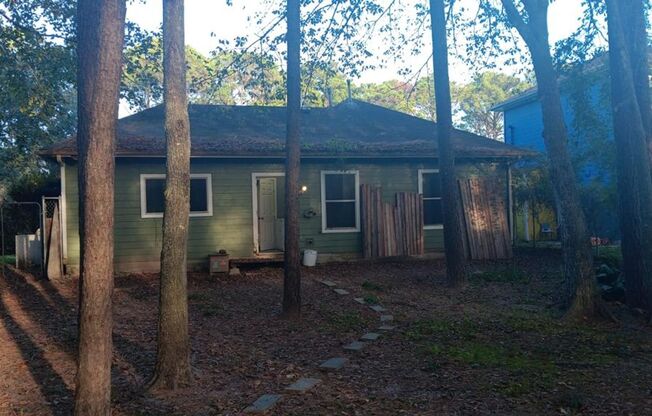 Completely Renovated House with a Forest as a backyard!!