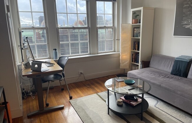1 bed, 1 bath, 513 sqft, $2,850, Unit 902