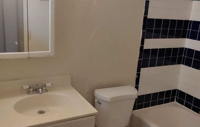 Studio, 1 bath, $795, Unit 310