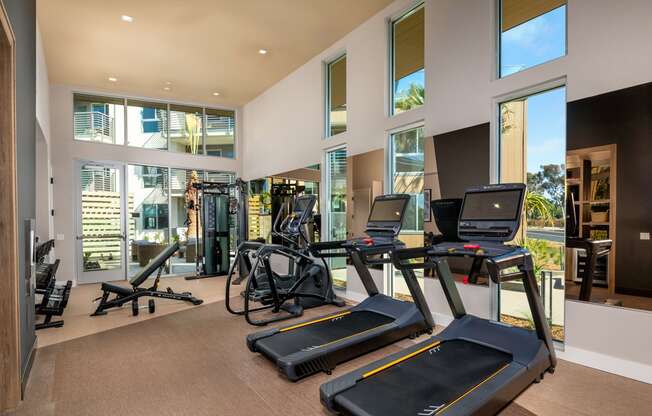 the gym has plenty of cardio equipment and glass windows