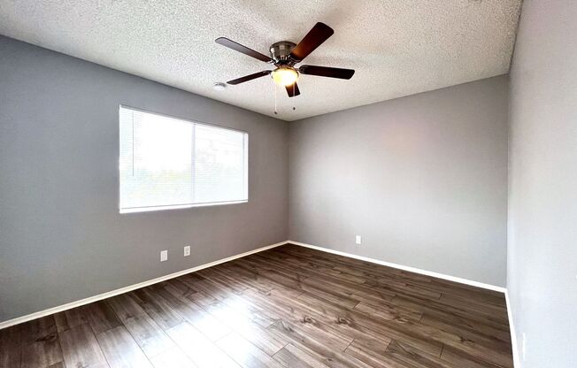 Citrus Ave - 810 - GOLD