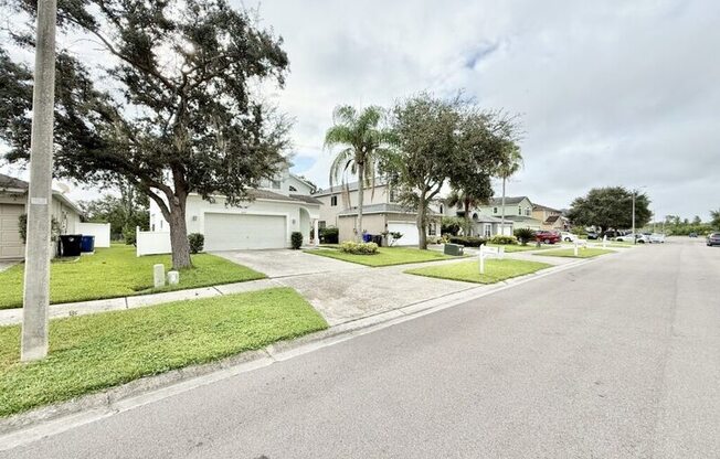 1647 GRAY BARK