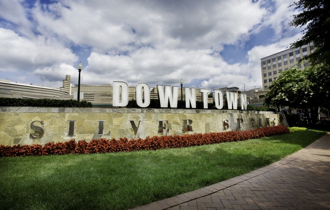 Downtown Signage at Metro 710, Silver Spring, Maryland